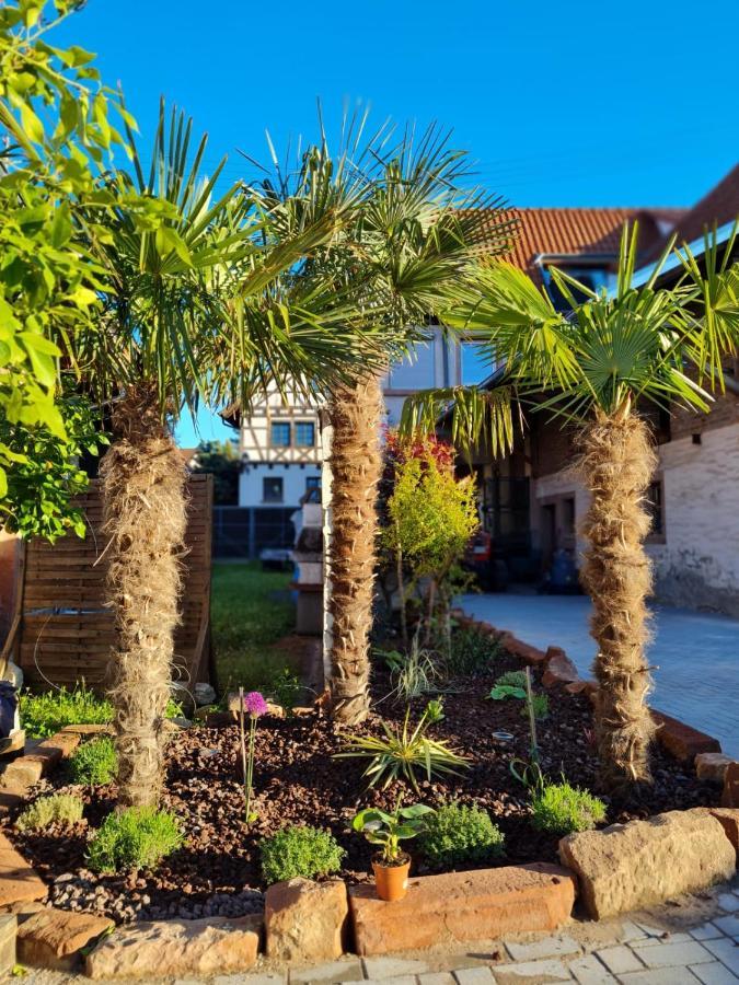 Kleines Landhaus Wendel Hotel Kapellen-Drusweiler Luaran gambar